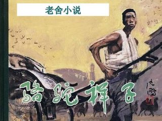 沈浩秦菲雪黑人教练